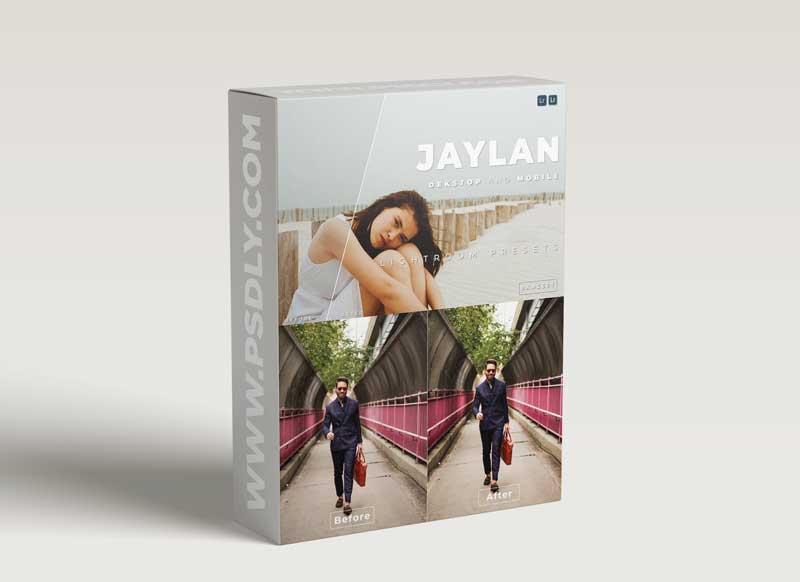 Jaylan Desktop and Mobile Lightroom Preset