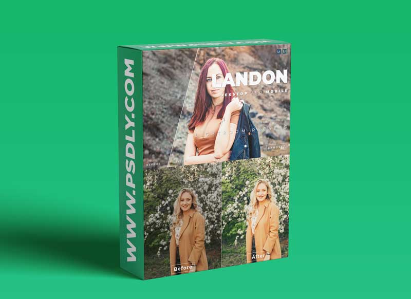 Landon Desktop and Mobile Lightroom Preset