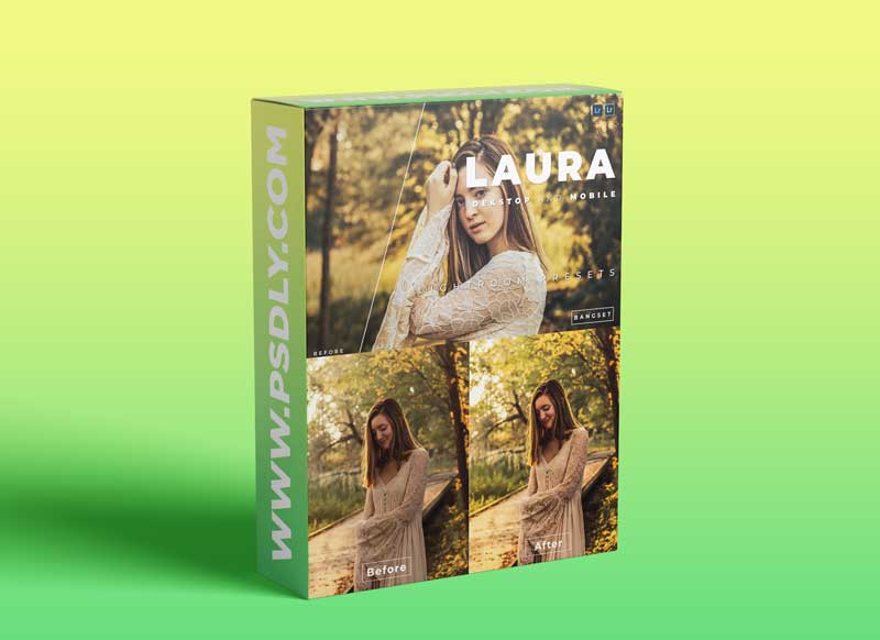 Laura Desktop and Mobile Lightroom Preset