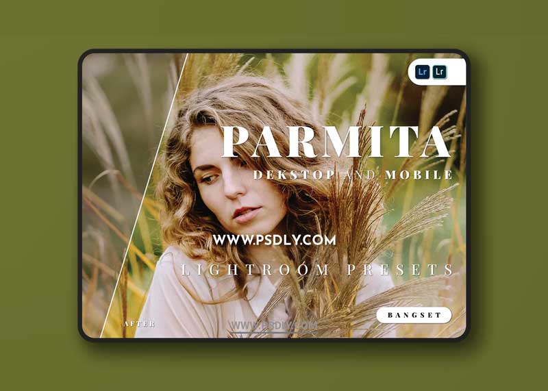 Parmita Desktop and Mobile Lightroom Preset