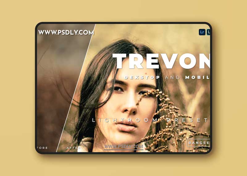 Trevon Desktop and Mobile Lightroom Preset