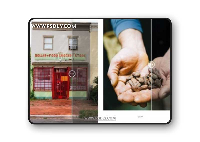 Tribe Tyler - E6 Lightroom Presets