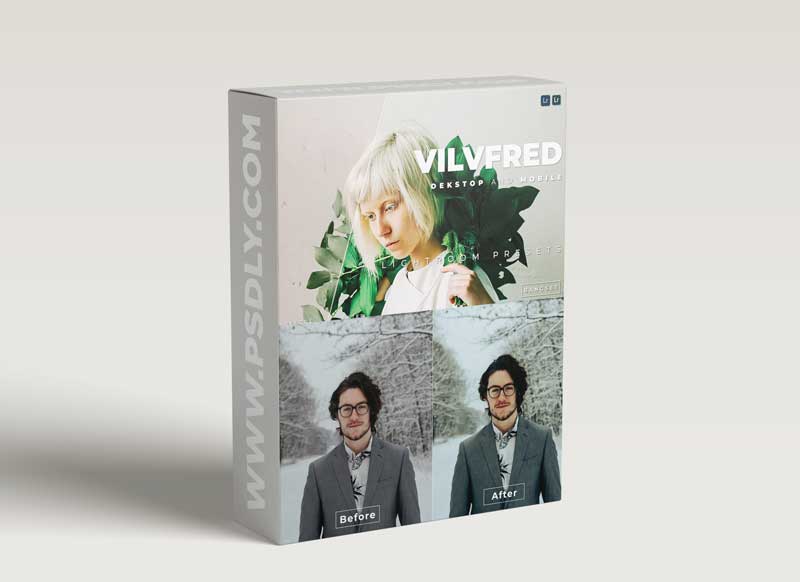 Vilvfred Desktop and Mobile Lightroom Preset