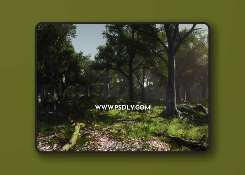 3D-Scanned, Photo-Realistic Forest Landscape Asset Pack Vol. 1