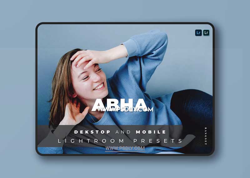 Abha Desktop and Mobile Lightroom Preset