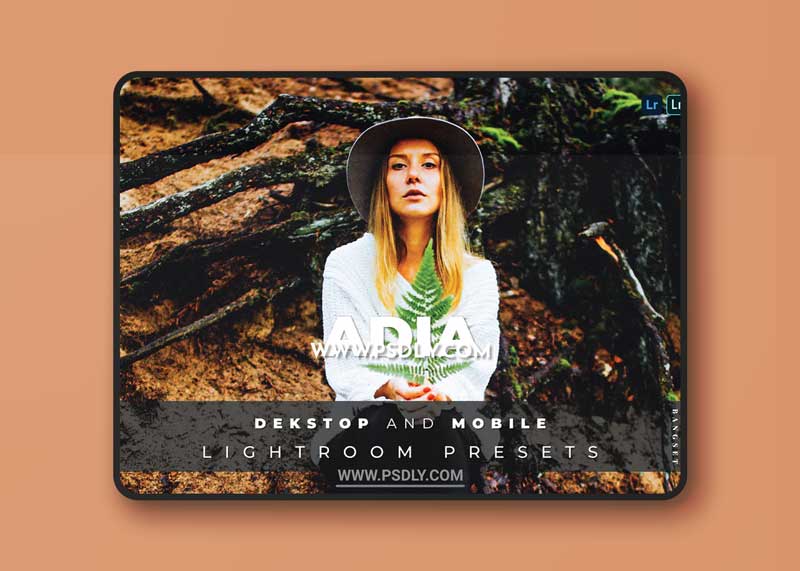Adia Desktop and Mobile Lightroom Preset