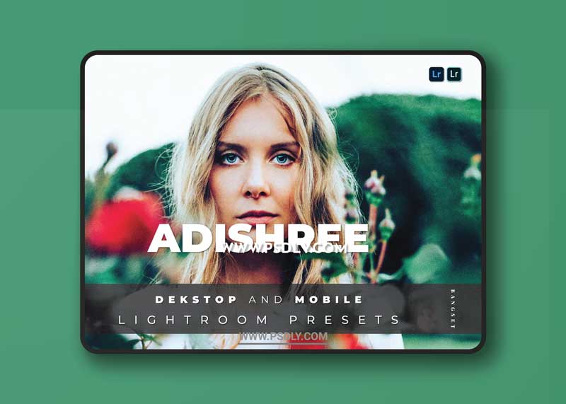 Adishree Desktop and Mobile Lightroom Preset