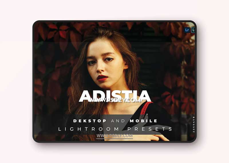 vAdistia Desktop and Mobile Lightroom Preset