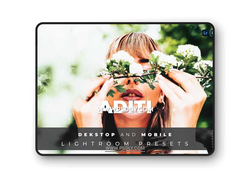 Aditi Desktop and Mobile Lightroom Preset