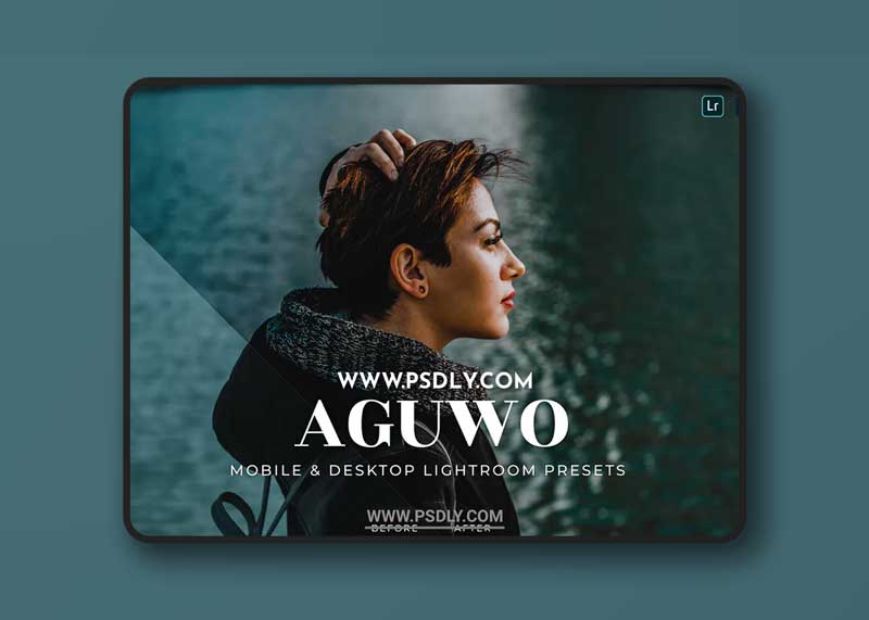 Aguwo Mobile and Desktop Lightroom Presets