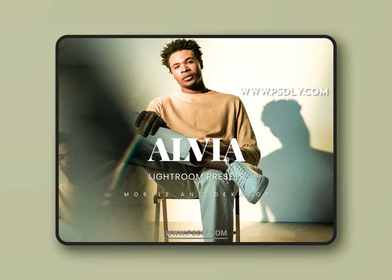 Alvia Lightroom Presets Dekstop and Mobile