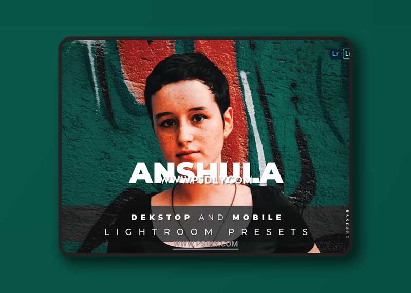 Anshula Desktop and Mobile Lightroom Preset