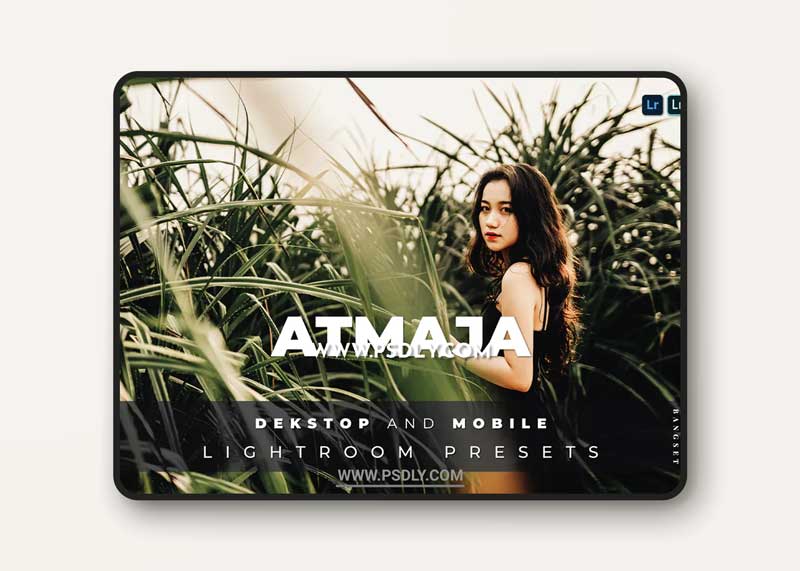Atmaja Desktop and Mobile Lightroom Preset