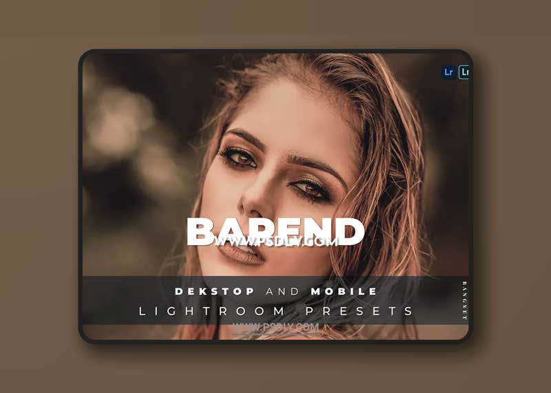 Barend Desktop and Mobile Lightroom Preset