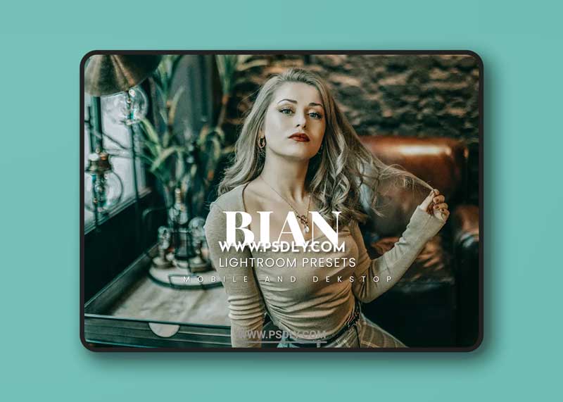 Bian Lightroom Presets Dekstop and Mobile