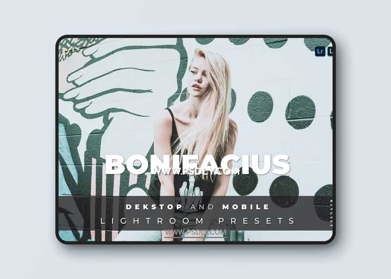 Bonifacius Desktop and Mobile Lightroom Preset