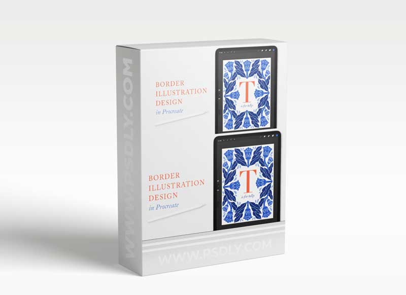 Border Illustration Design in Procreate