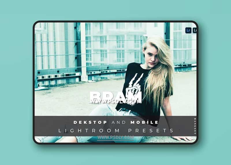 Bram Desktop and Mobile Lightroom Preset