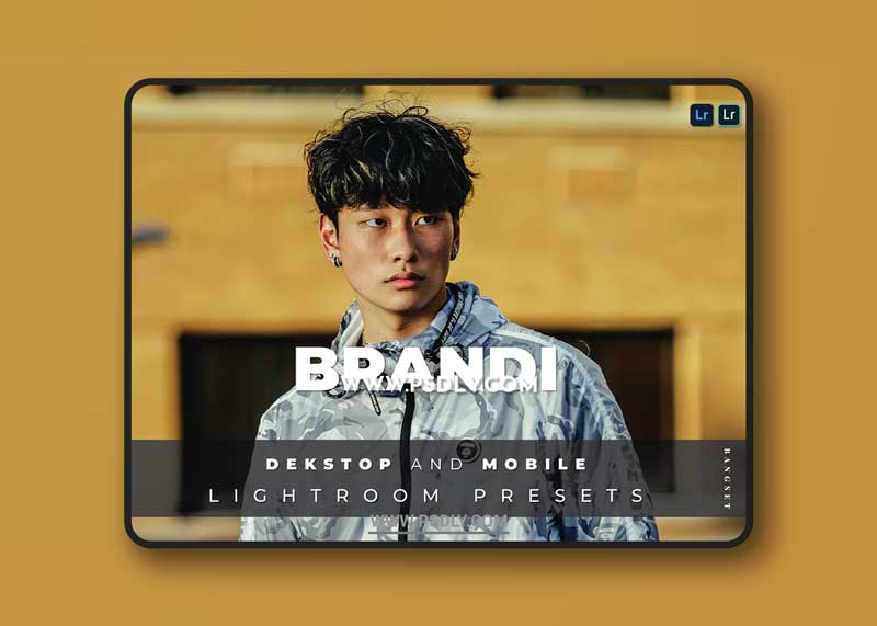 Brandi Desktop and Mobile Lightroom Preset