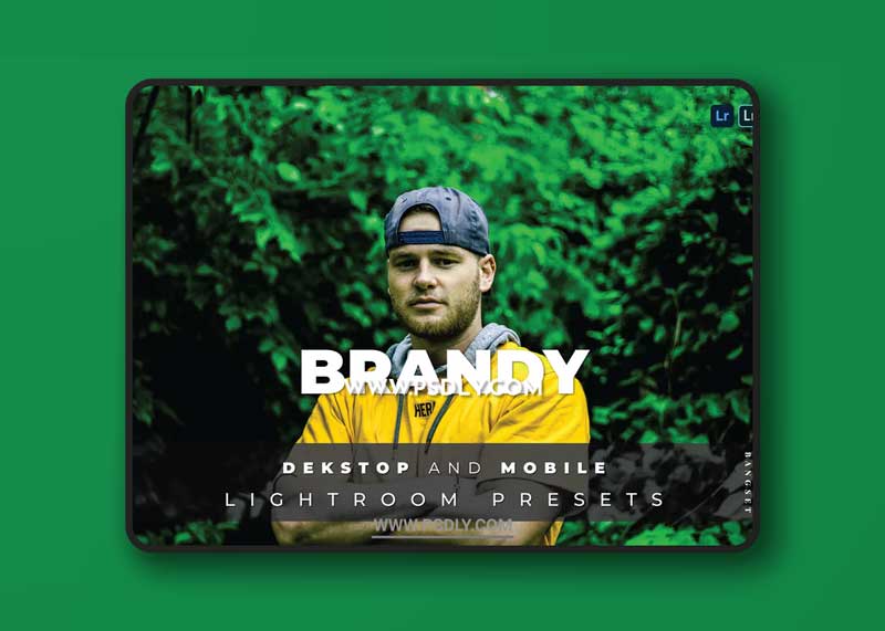 Brandy Desktop and Mobile Lightroom Preset