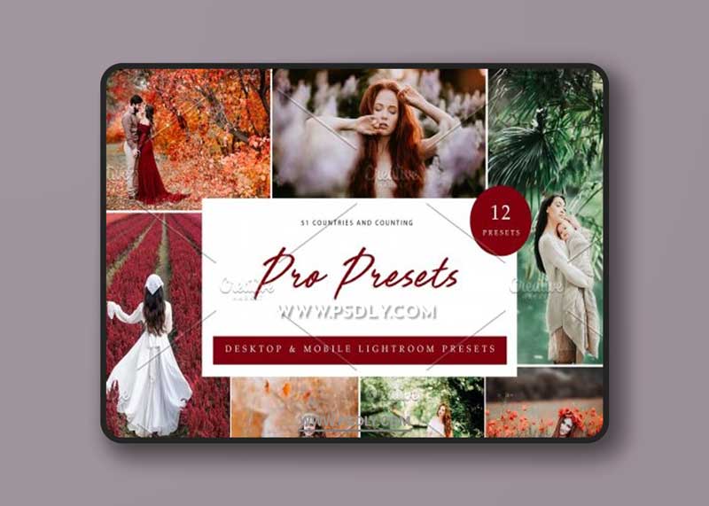 CreativeMarket - 12x Lightroom Presets, Pro Presets 6071347