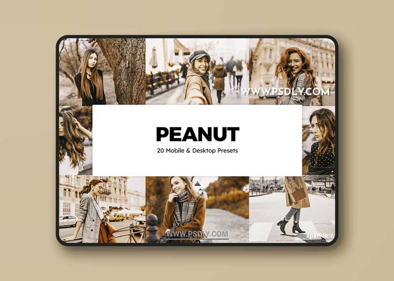 CreativeMarket - 20 Peanut Lightroom Presets & LUTs 6258642