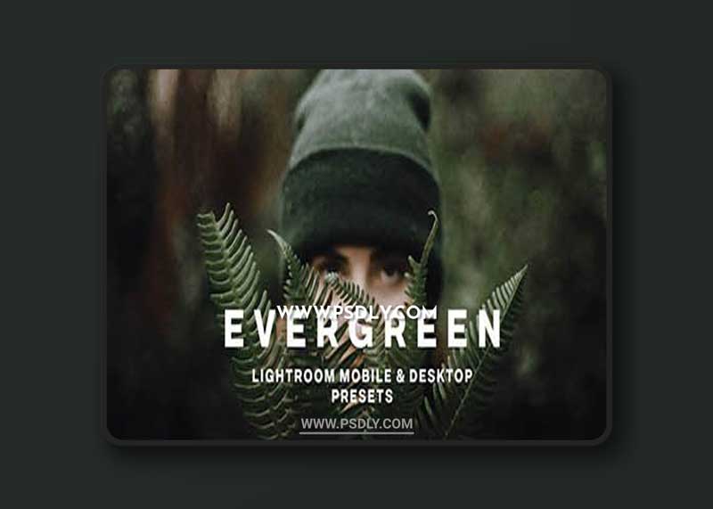 CreativeMarket - EVERGREEN LIGHTROOM PRESETS 5756318 LIGHTROOM