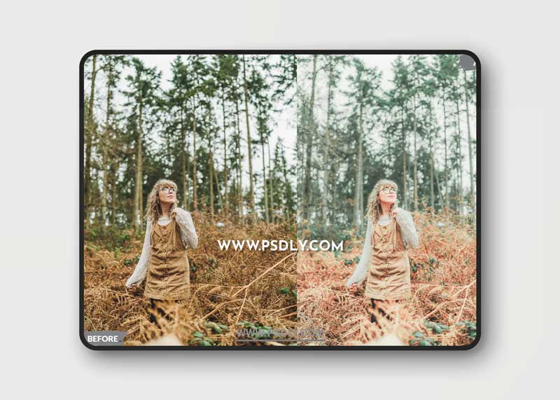 Denard Lightroom Presets Dekstop and Mobile