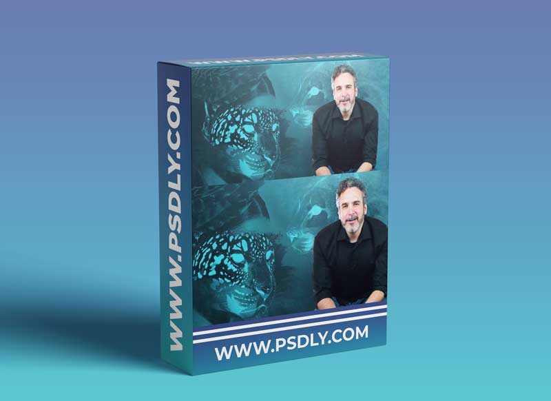 Domestika - Art Direction for Motion Graphics