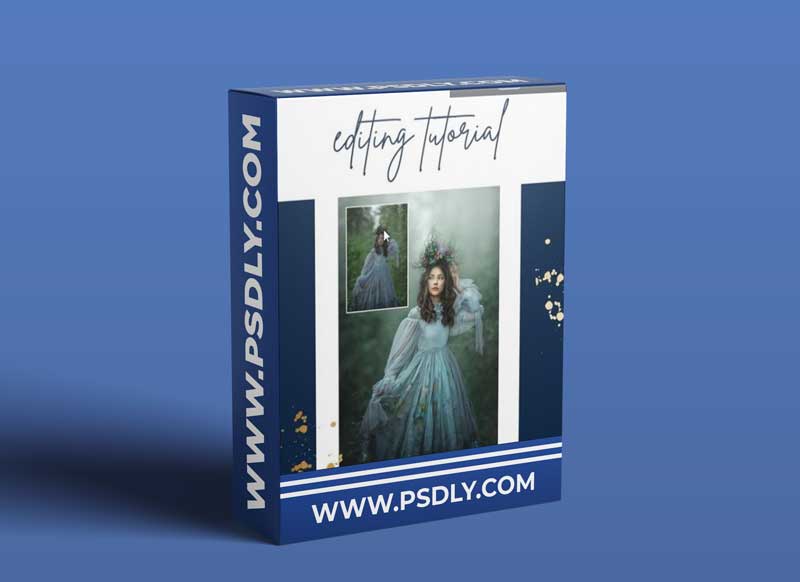 Finding North Photography - Fox and Gem