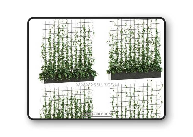 Ivy on the grid 3d Model