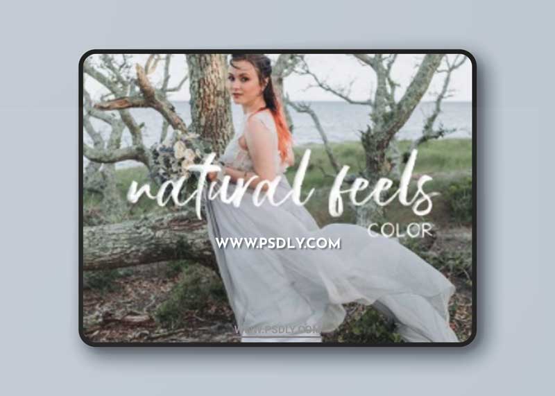 John Branch IV Photography - Natural Feels Color Presets