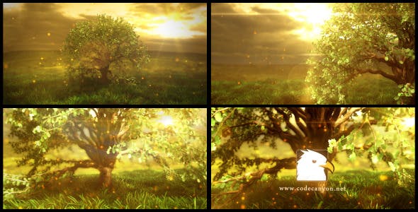 Videohive Nature Logo Reveal 12709139