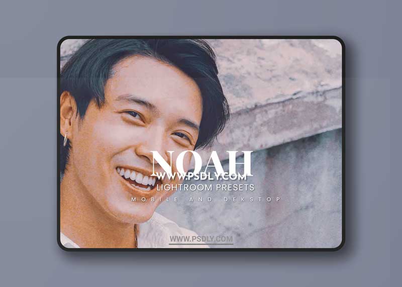 Noah Lightroom Presets Dekstop and Mobile
