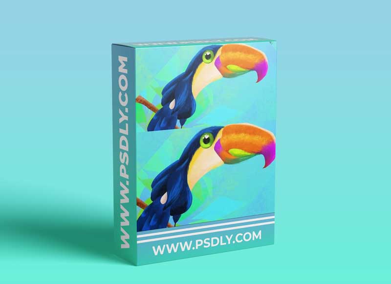Procreate for Digital Illustration: Toucan bird Super easy colorful