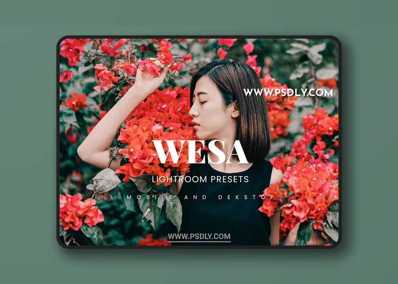 Wesa Lightroom Presets Dekstop and Mobile
