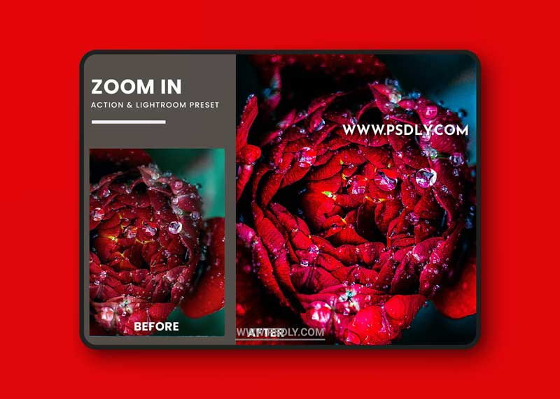Zoom In Fx Photoshop Action & Lightrom Presets