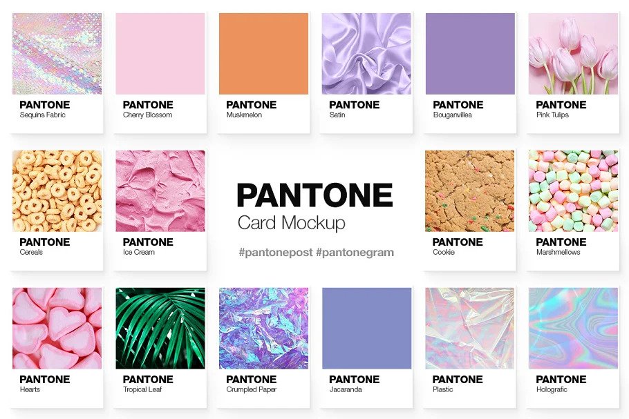 CreativeMarket - Pantone Color Cards Mockup 2155020