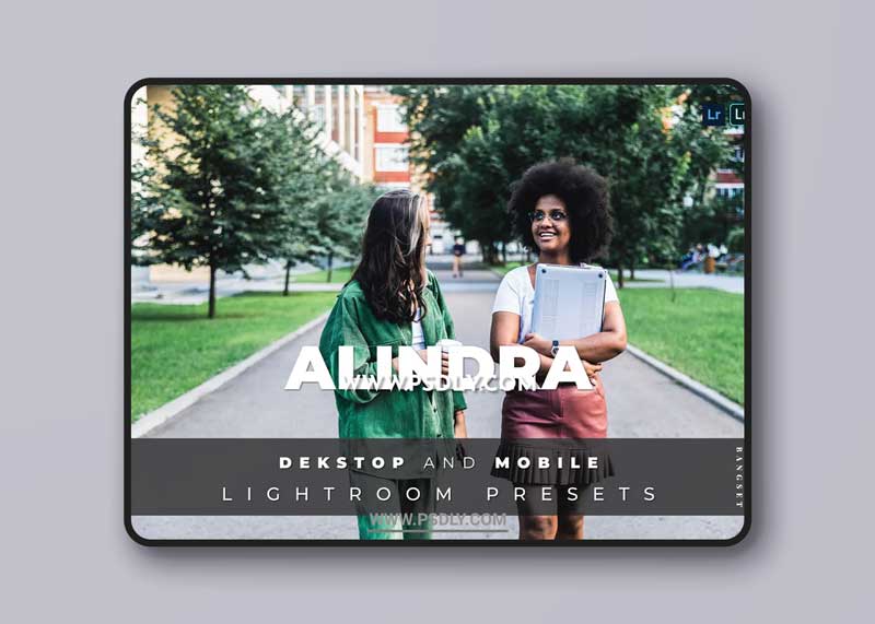 Alindra Desktop and Mobile Lightroom Preset