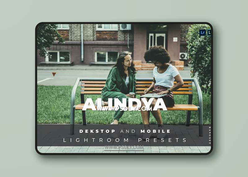 Alindya Desktop and Mobile Lightroom Preset