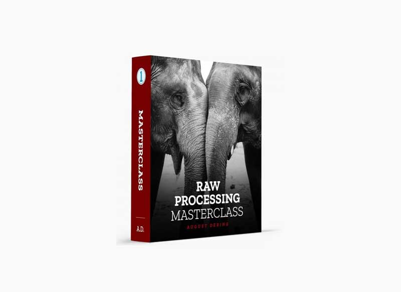 August Dering - RAW Processing Masterclass