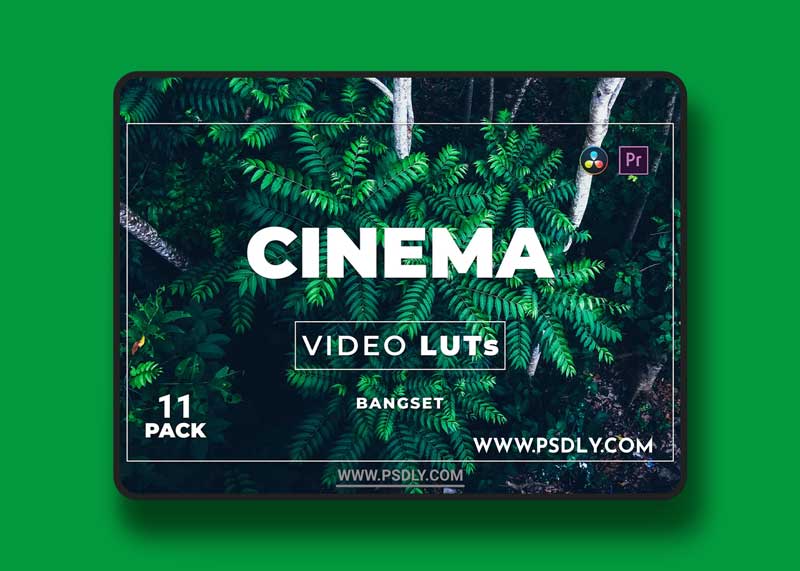 Bangset Cinema Pack 11 Video LUTs