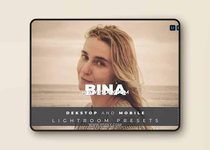 Bina Desktop and Mobile Lightroom Preset