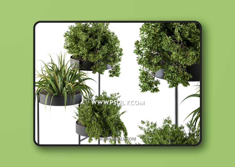 Black round plant box