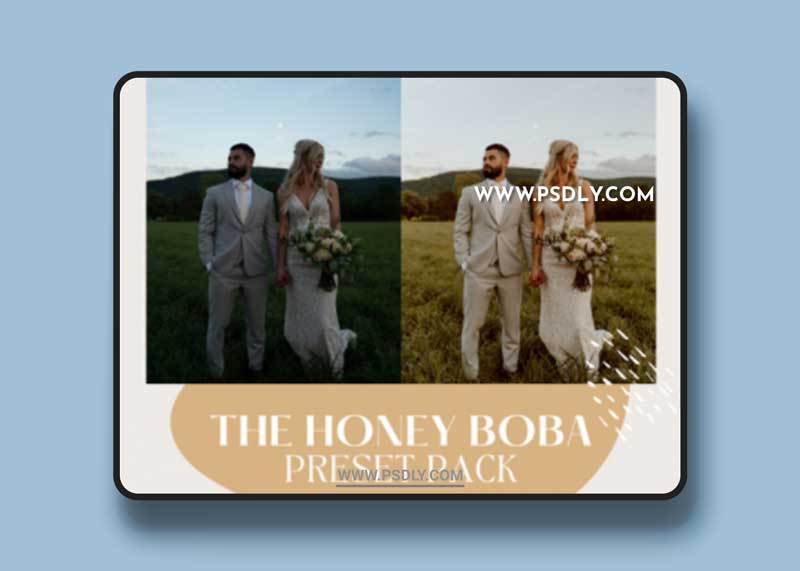 Cassidy Lynne - The Honey Boba