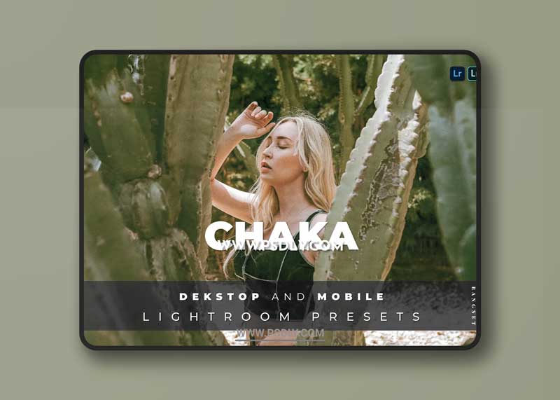Chaka Desktop and Mobile Lightroom Preset