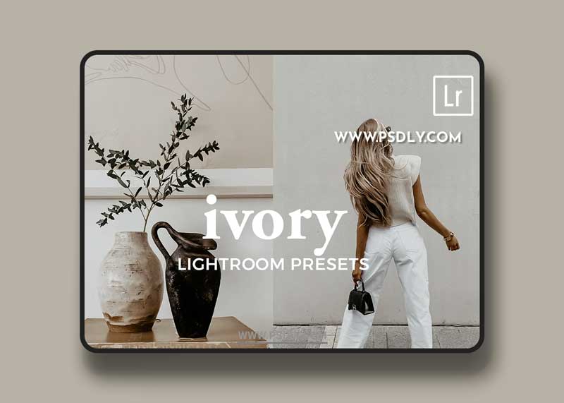CreativeMarket - 4 Lightroom Presets IVORY 5541040
