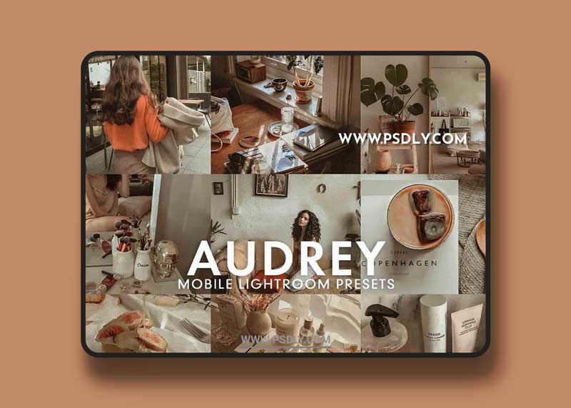CreativeMarket - 5 AUDREY Mobile Lightroom Presets 5275673