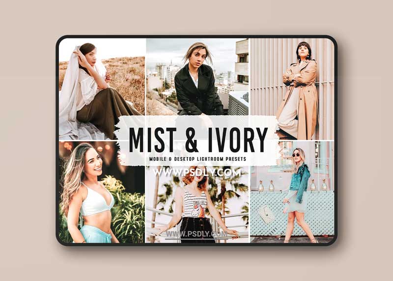 CreativeMarket - Mist & Ivory Pro Lightroom Presets 6338885