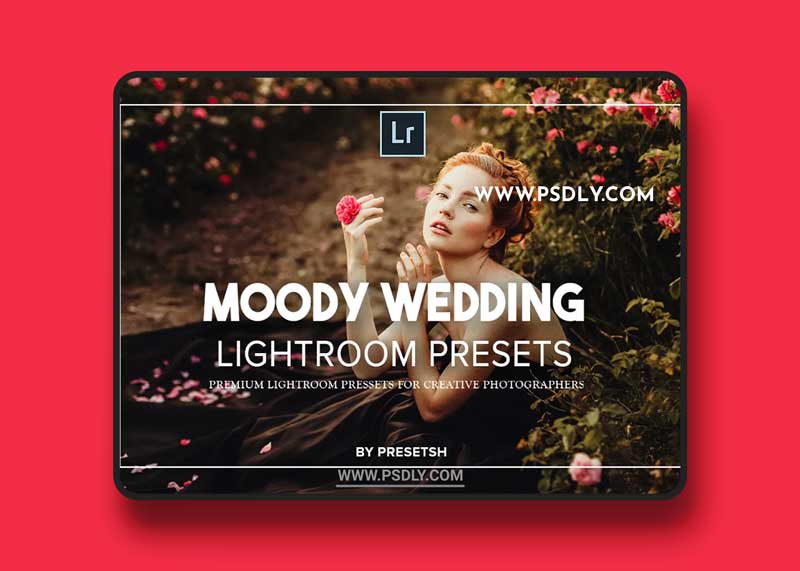 CreativeMarket - Moody Wedding Lightroom Presets 5125346